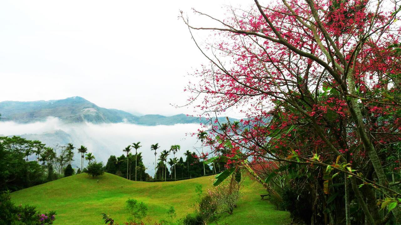 Foggy Wonderland Villa Zhushan Bagian luar foto
